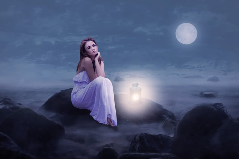 Moonlit Meadow